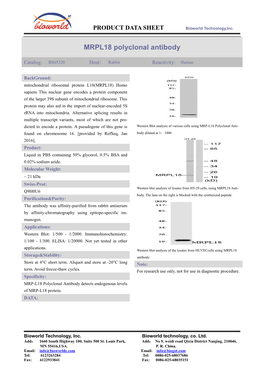 MRPL18 Polyclonal Antibody