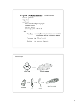 Platyhelminthes