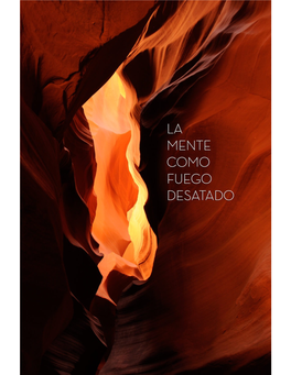 La Mente Como Fuego Desatado: Una Imagen De Los Sermones Budistas Tempranos