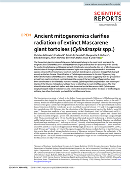 Ancient Mitogenomics Clarifies Radiation of Extinct Mascarene Giant