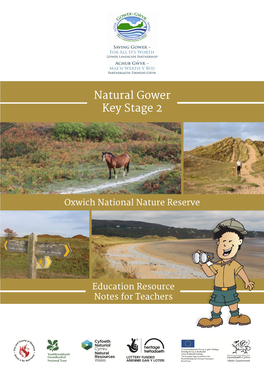 Natural Gower Key Stage 2
