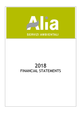 Financial Statements at 31 December 2017