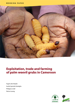Exploitation, Trade and Farming of Palm Weevil Grubs in Cameroon