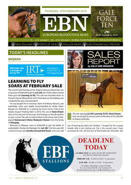 Ebn Ten European Bloodstock News