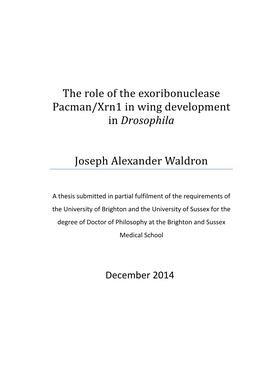 The Role of the Exoribonuclease Pacman/Xrn1 in Wing Development in Drosophila