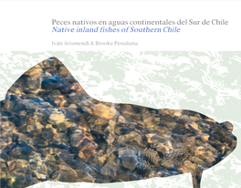Peces Nativos En Aguas Continentales Del Sur De Chile Native Inland Fishes of Southern Chile