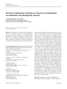 Revision of Lignicolous Tubeufiaceae Based on Morphological Reexamination and Phylogenetic Analysis