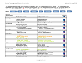 Species Photographed by Sebastian Kennerknecht Updated: 1 January, 2018