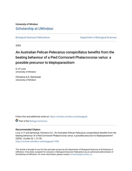 An Australian Pelican Pelecanus Conspicillatus Benefits from the Beating Behaviour of a Pied Cormorant Phalacrocorax Varius: a Possible Precursor to Kleptoparasitism