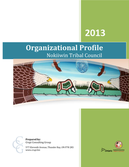 Nokiiwin Tribal Cil Organizational Profile