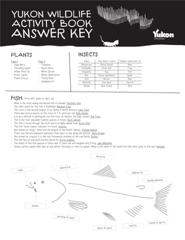 Yukon Wildlife Activity Book Answer Key