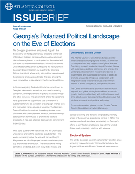 Georgia's Polarized Political Landscape on the Eve of Elections