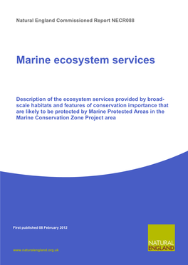 Marine Ecosystem Services