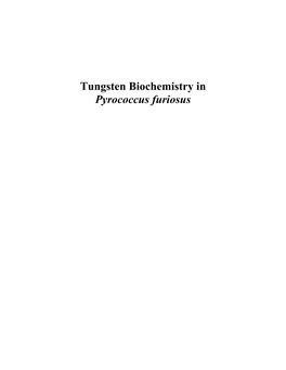 Tungsten Biochemistry in Pyrococcus Furiosus