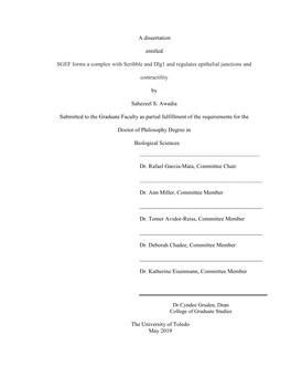 A Dissertation Entitled SGEF Forms a Complex with Scribble and Dlg1