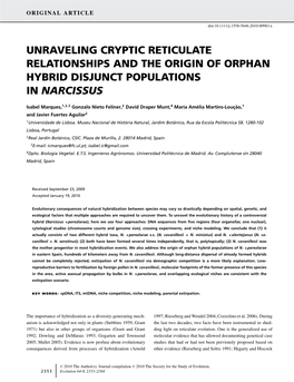 Unraveling Cryptic Reticulate Relationships and the Origin of Orphan Hybrid Disjunct Populations in Narcissus
