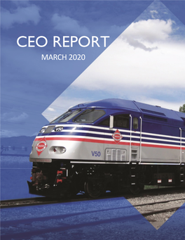Ceo Report March 2020