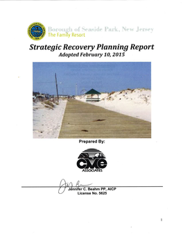 Strategic Recovery Planning Report 2015