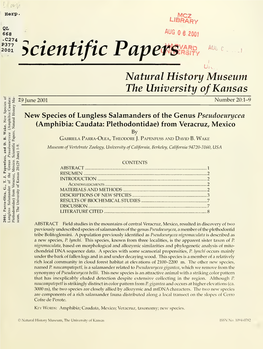 New Species of Lungless Salamanders of the Genus