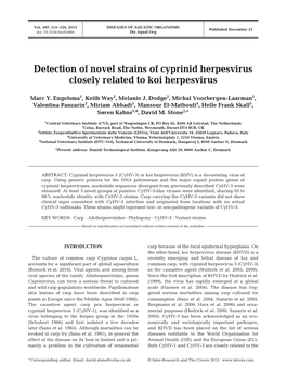 Detection of Novel Strains of Cyprinid Herpesvirus Closely Related to Koi Herpesvirus