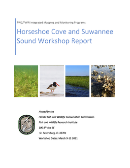 Horseshoe Cove and Suwannee Sound Workshop Report