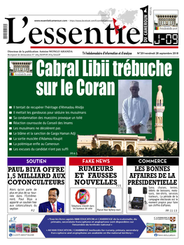 L'essentiel Du Cameroun 1