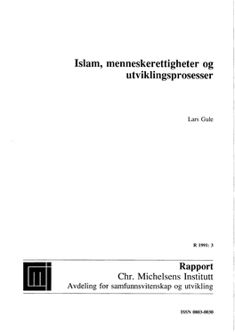 Islam, Menneskerettigheter Og U Tviklingsp Rosesser