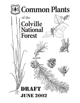 Common Plants of the Colville National Forest