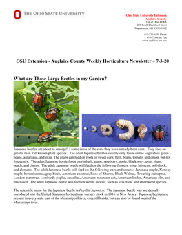 Auglaize County Weekly Horticulture Newsletter – 7-3-20