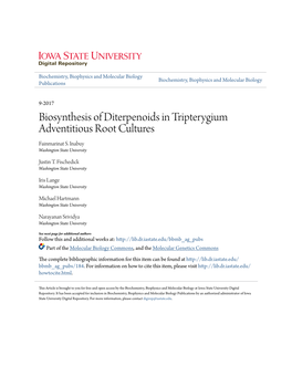 Biosynthesis of Diterpenoids in Tripterygium Adventitious Root Cultures Fainmarinat S