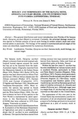 Biology and Morphology of the Banana Moth, Opogona Sacchari (Bojer), and Its Introduction Into Florida (Lepidoptera: Tineidae)