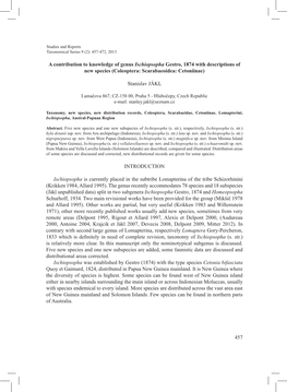 A Contribution to Knowledge of Genus Ischiopsopha Gestro, 1874 with Descriptions of New Species (Coleoptera: Scarabaeoidea: Cetoniinae)