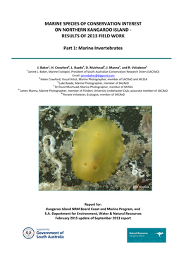 Marine Invertebrates