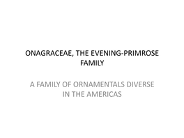 Onagraceae, the Evening-Primrose Famiy