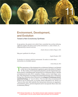 Environment, Development, and Evolution Toward a New Evolutionary Synthesis