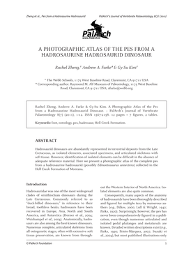 A Photographic Atlas of the Pes from a Hadrosaurine Hadrosaurid Dinosaur