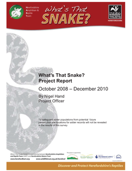 Final Project Report 2010