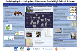 SVP Horse Evolution Curriculum NEW