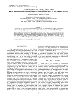 175-184 March 2020 © by the Rochester Institute of Vertebrate Paleontology 175 a NEW LARGE BODY HELOHYID