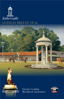 Tattersalls Guineas Breeze up & Horses in Training Sale