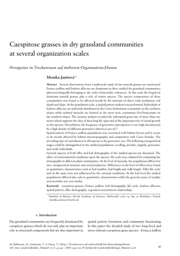 Caespitose Grasses in Dry Grassland Communities at Several Organization Scales