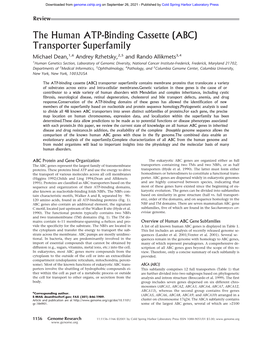 The Human ATP-Binding Cassette (ABC) Transporter Superfamily