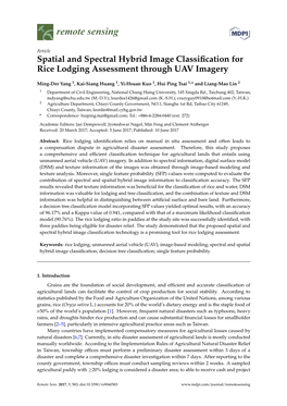 Spatial and Spectral Hybrid Image Classification for Rice Lodging