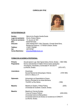 Curriculum Vitae