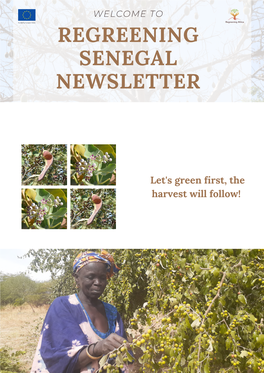 Regreening Senegal Newsletter