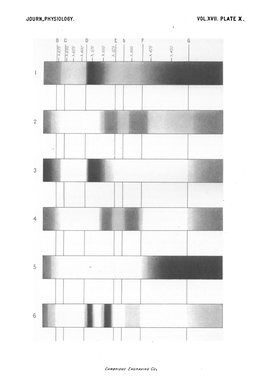 A Contribution to the Study of Uroerythrin