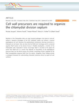 Cell Wall Precursors Are Required to Organize the Chlamydial Division Septum