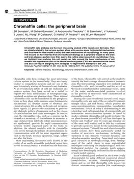 Chromaffin Cells: the Peripheral Brain