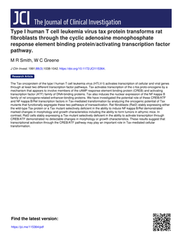 Type I Human T Cell Leukemia Virus Tax Protein Transforms Rat