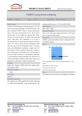 FUNDC1 Polyclonal Antibody